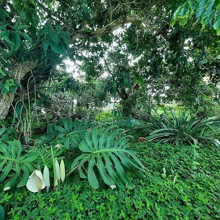 Flat Em Serra Negra - Bezerros Luaran gambar